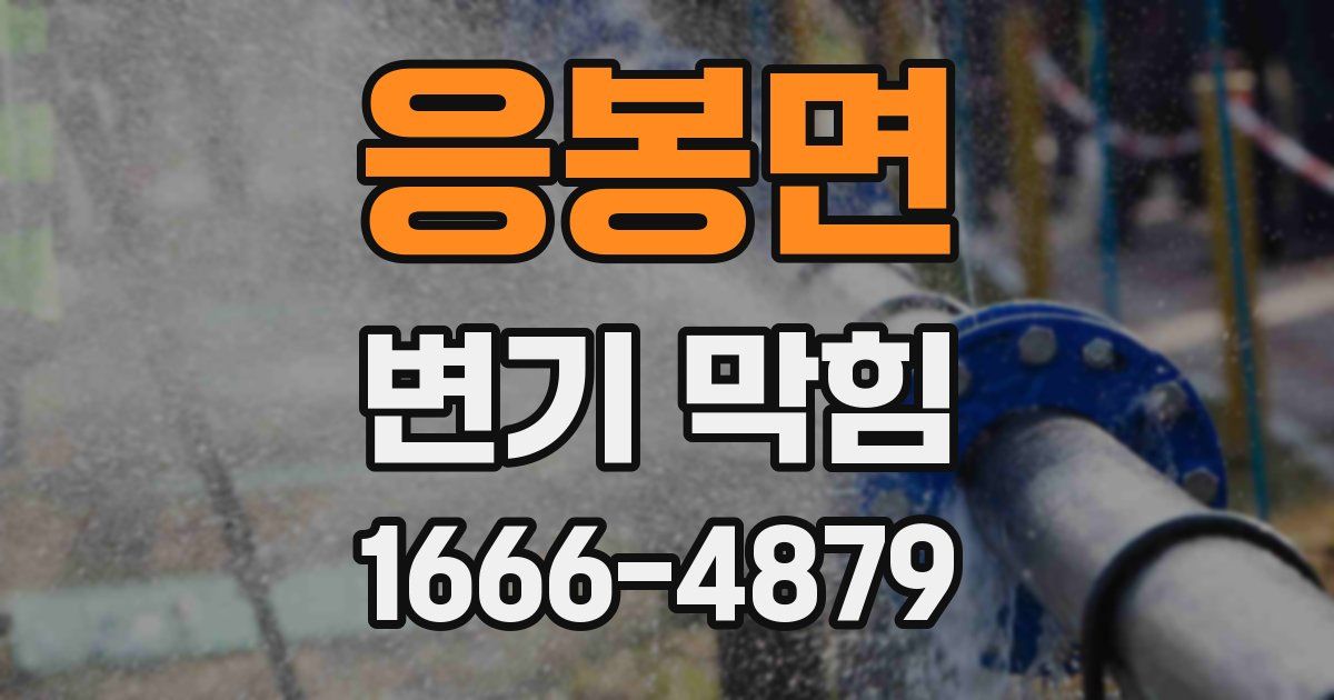 응봉면 변기 막힘