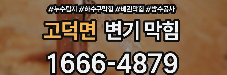 고덕면 변기 막힘