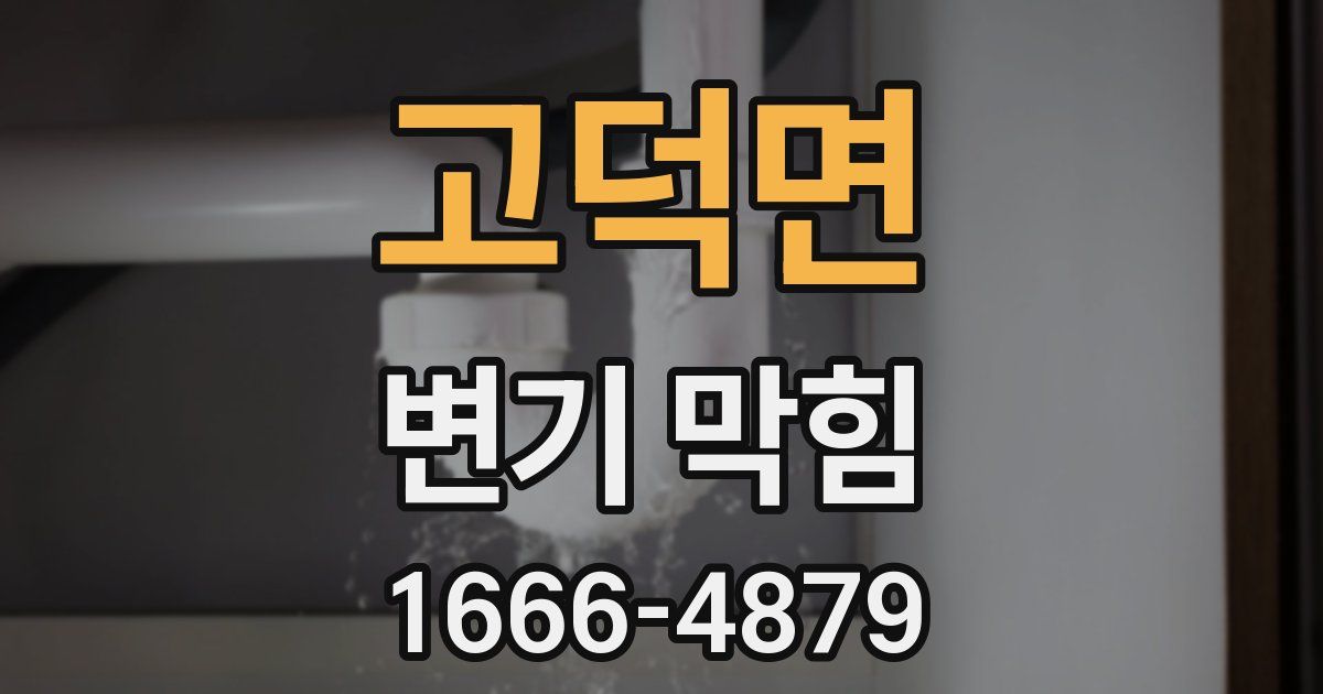 고덕면 변기 막힘