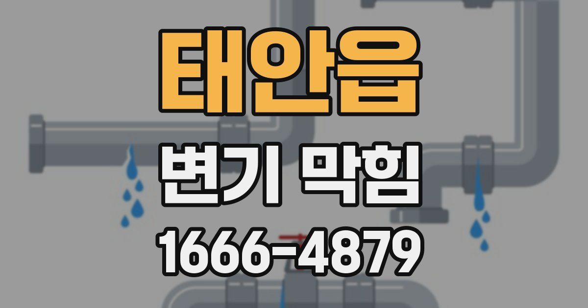 태안읍 변기 막힘