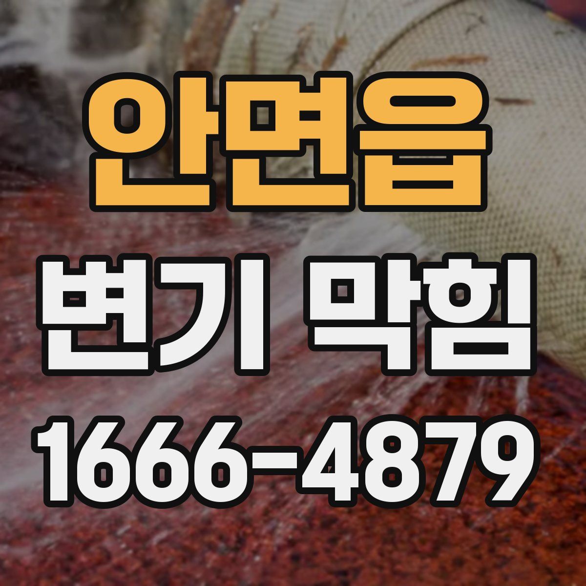 안면읍 변기 막힘