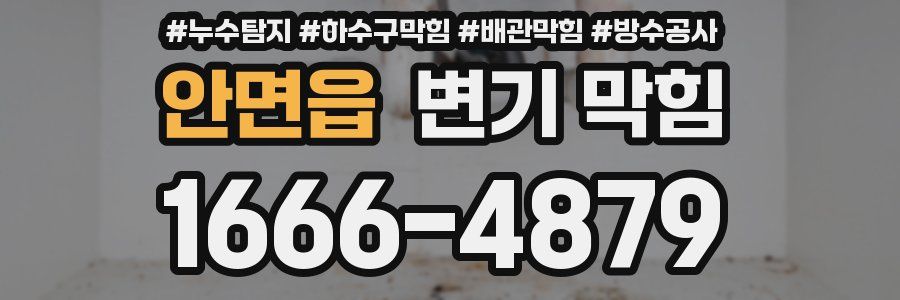 안면읍 변기 막힘