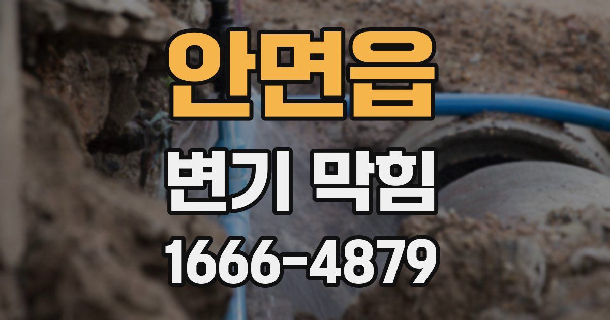 안면읍 변기 막힘