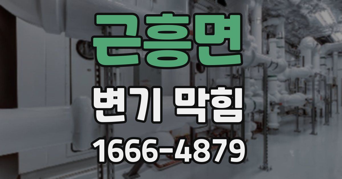 근흥면 변기 막힘