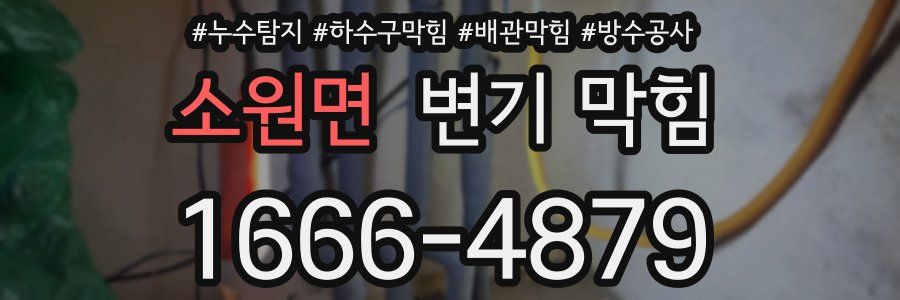 소원면 변기 막힘