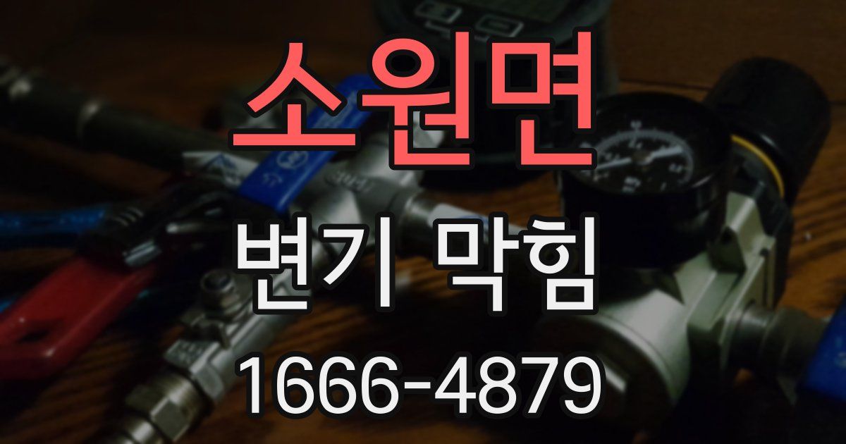 소원면 변기 막힘
