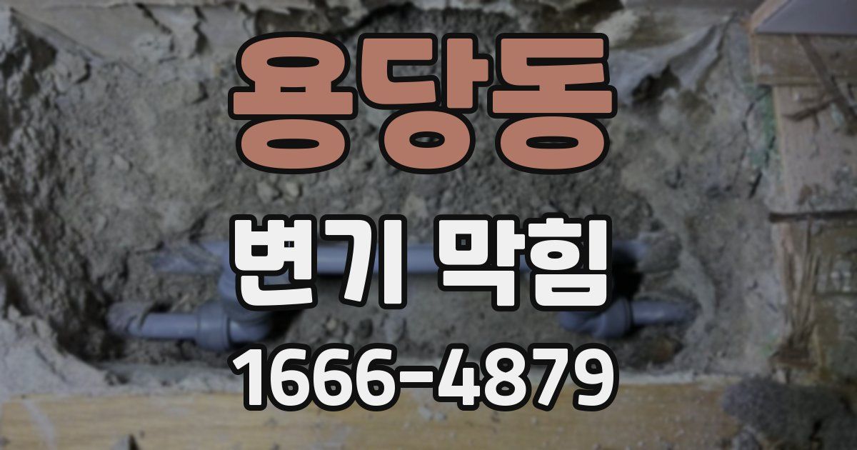 용당동 변기 막힘