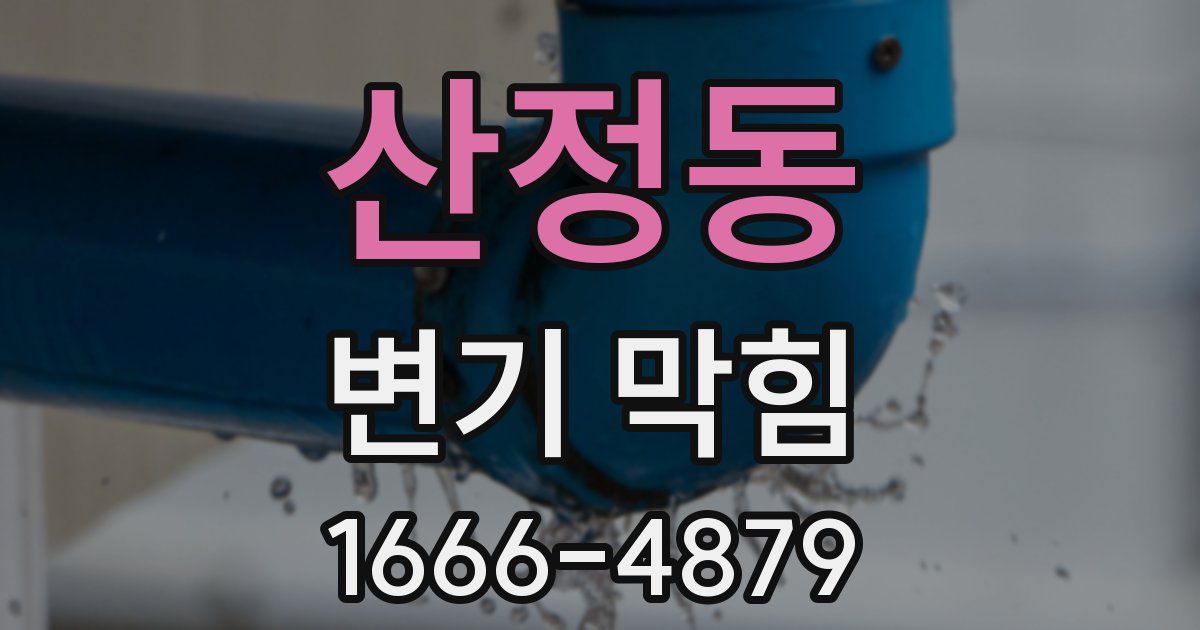 산정동 변기 막힘