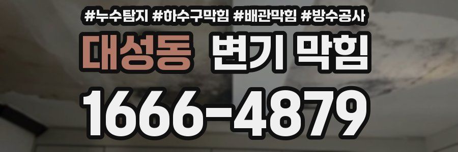 대성동 변기 막힘