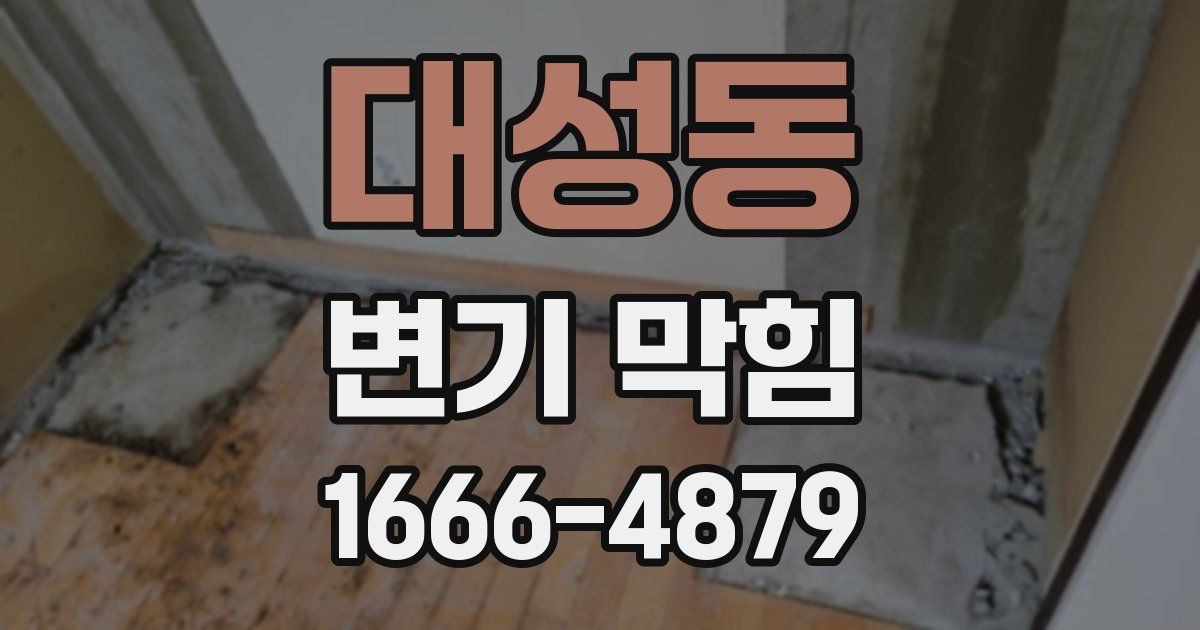 대성동 변기 막힘