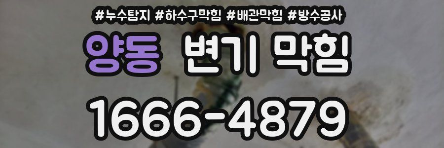 양동 변기 막힘