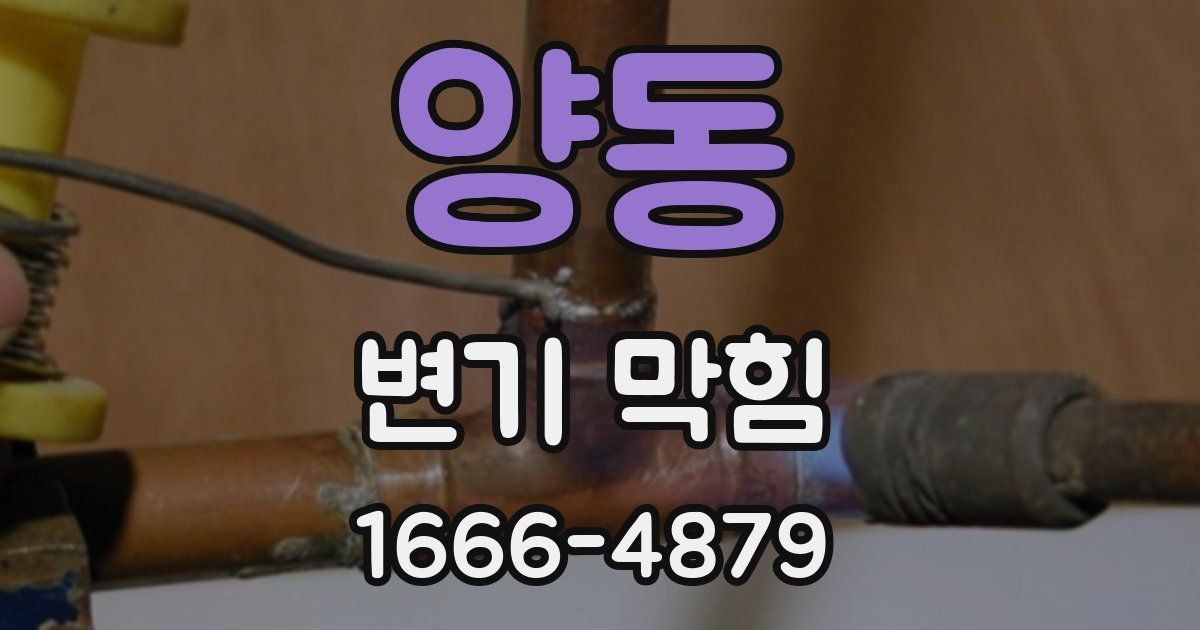 양동 변기 막힘