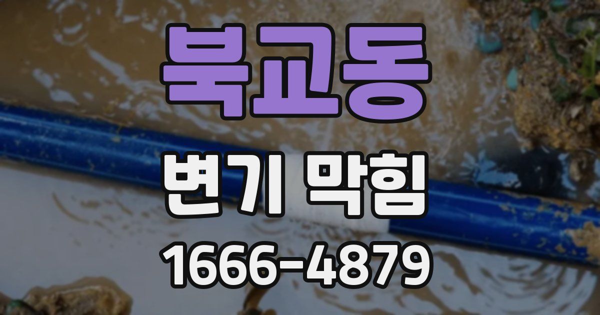 북교동 변기 막힘