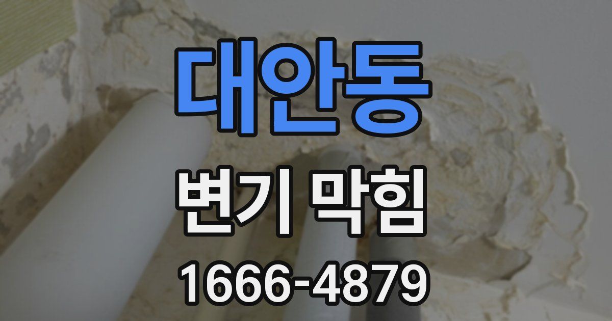 대안동 변기 막힘