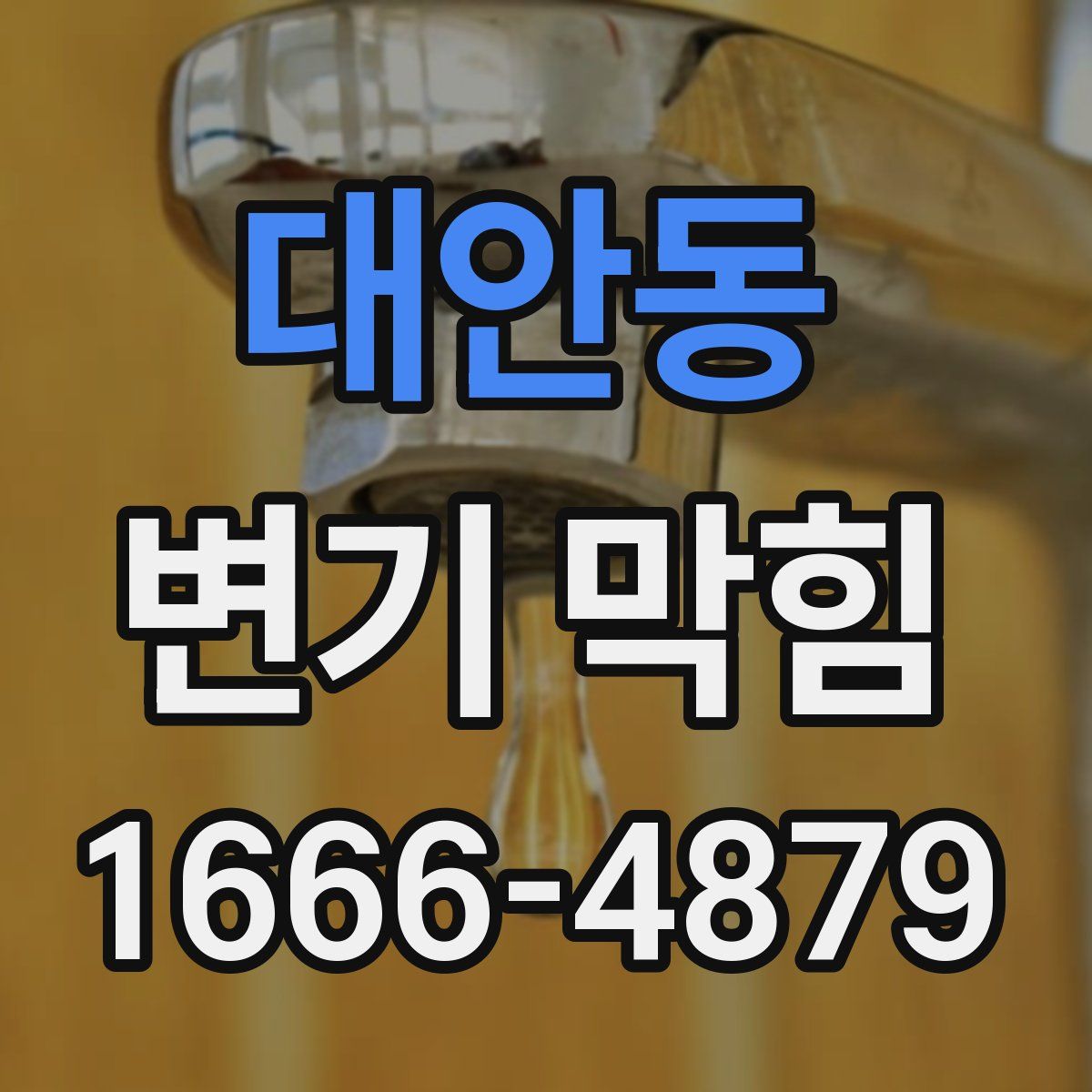 대안동 변기 막힘