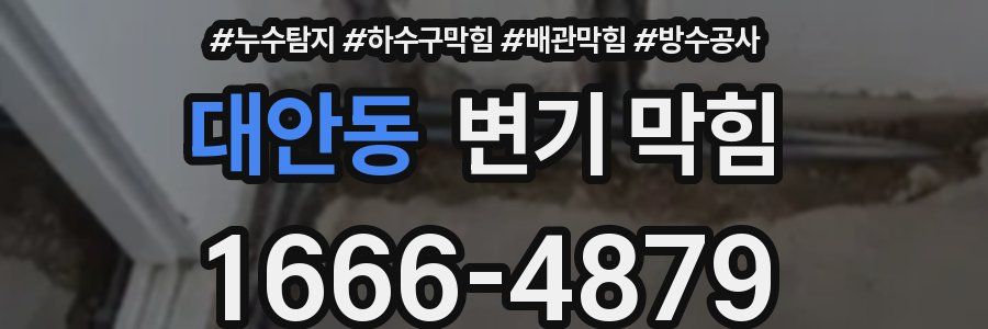 대안동 변기 막힘