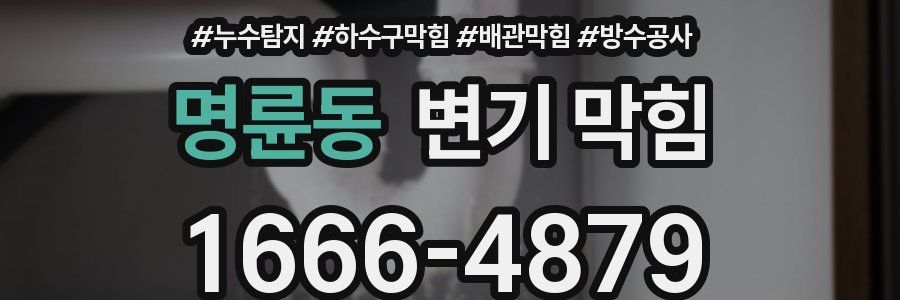 명륜동 변기 막힘