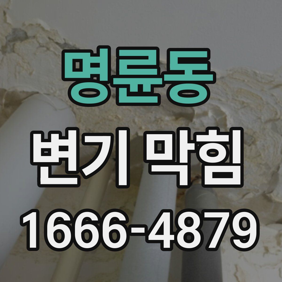 명륜동 변기 막힘
