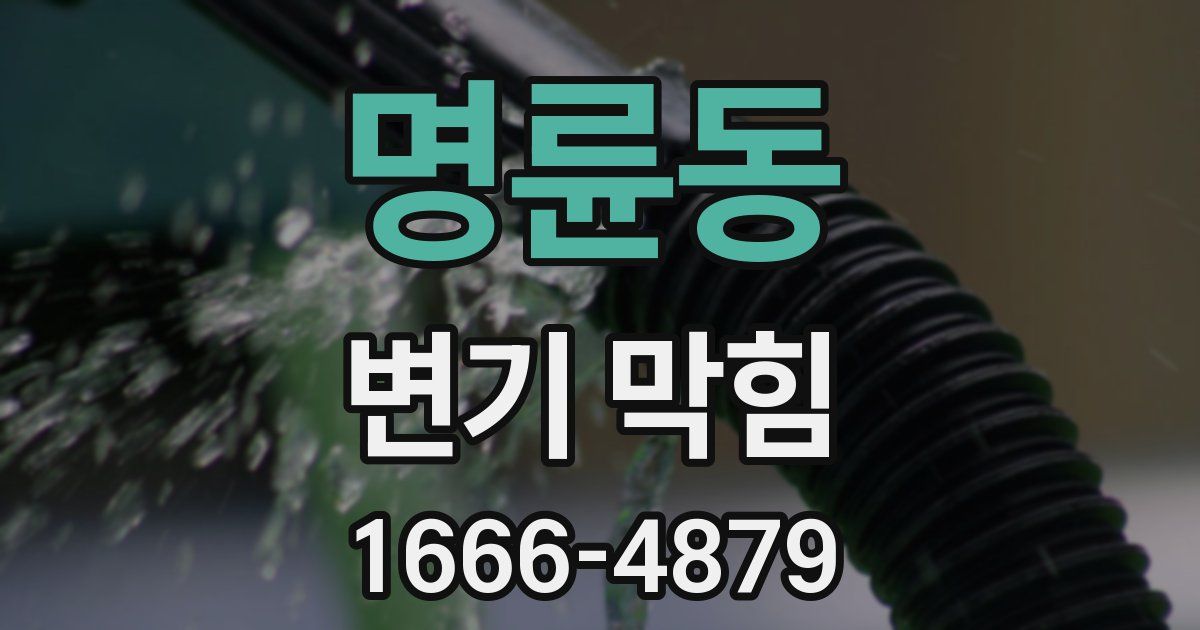 명륜동 변기 막힘