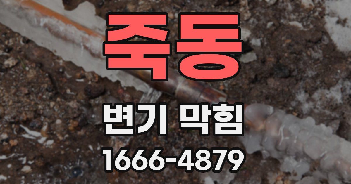 죽동 변기 막힘