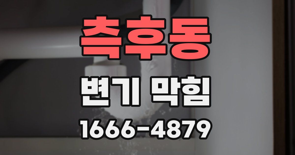 측후동 변기 막힘