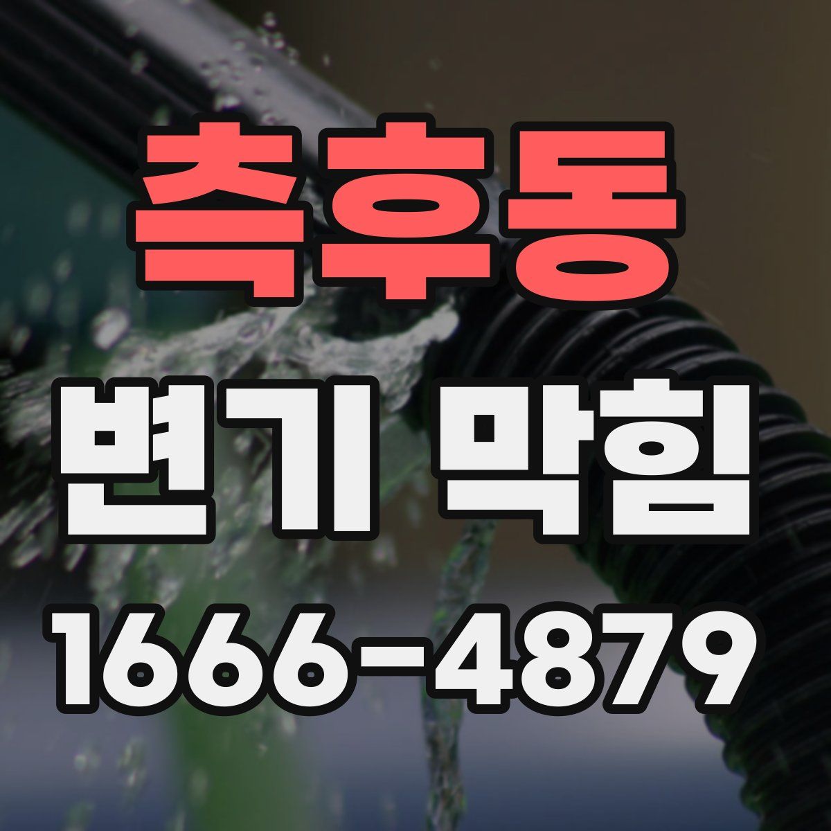측후동 변기 막힘
