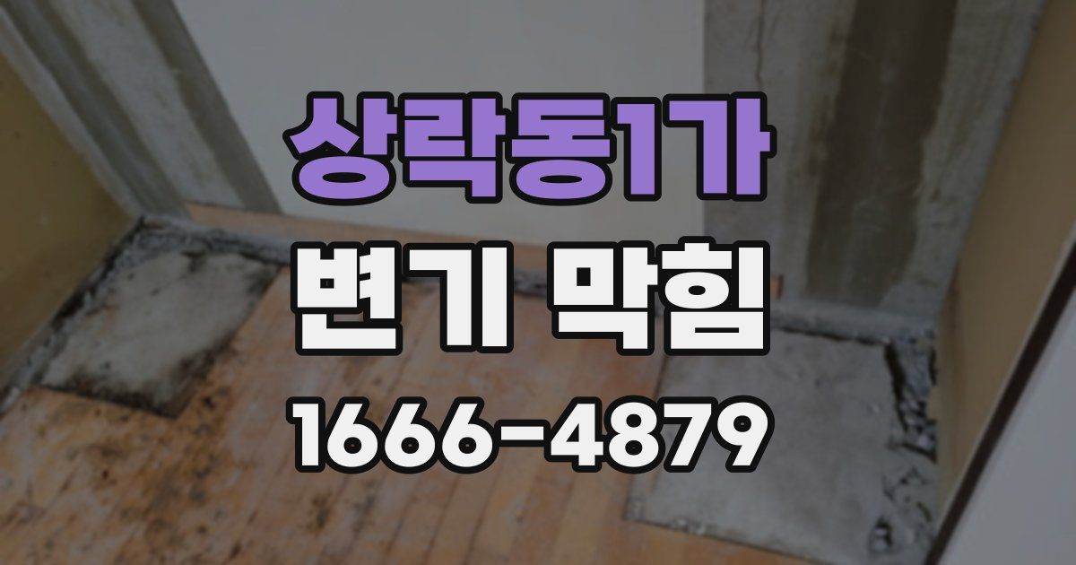 상락동1가 변기 막힘