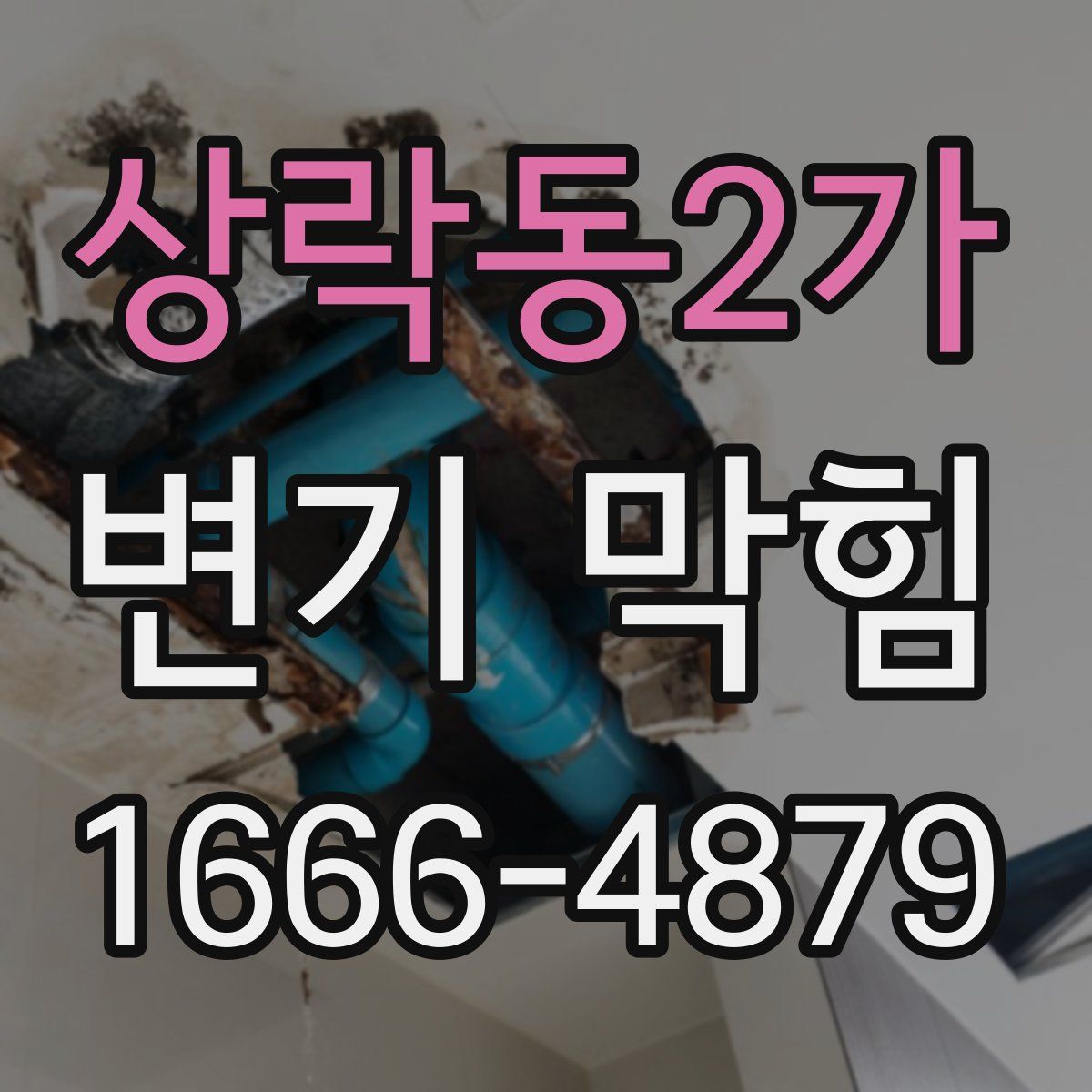 상락동2가 변기 막힘