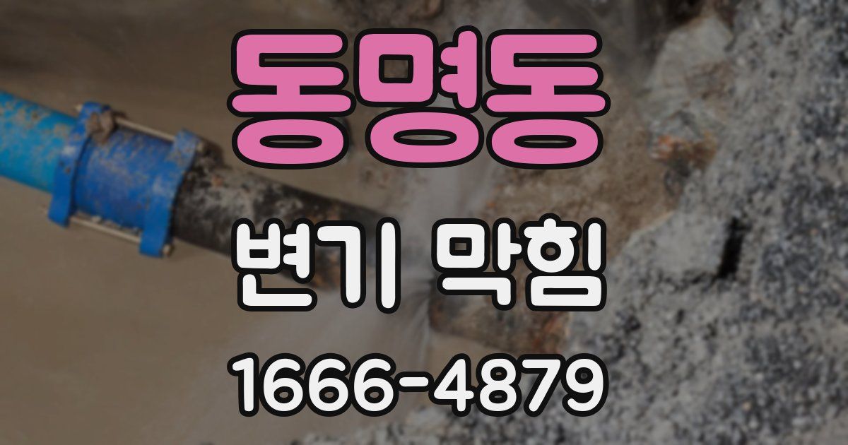 동명동 변기 막힘