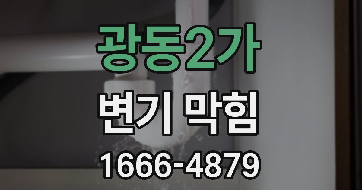 광동2가 변기 막힘