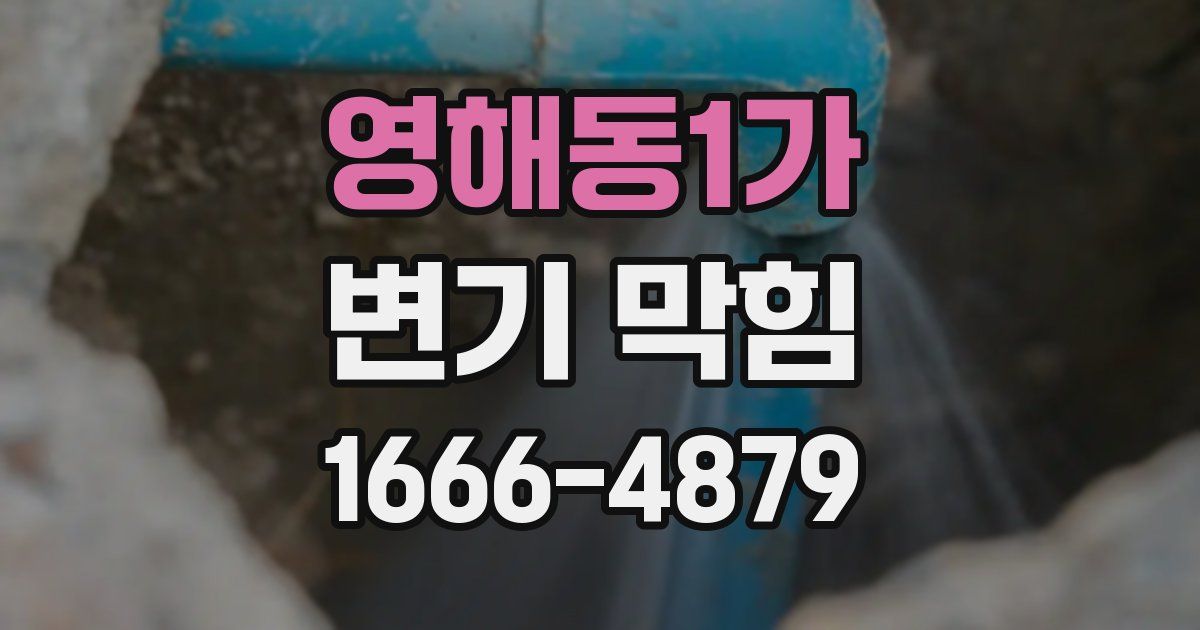 영해동1가 변기 막힘