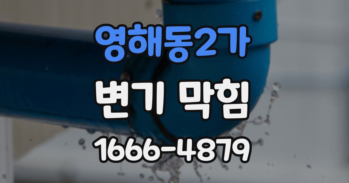 영해동2가 변기 막힘