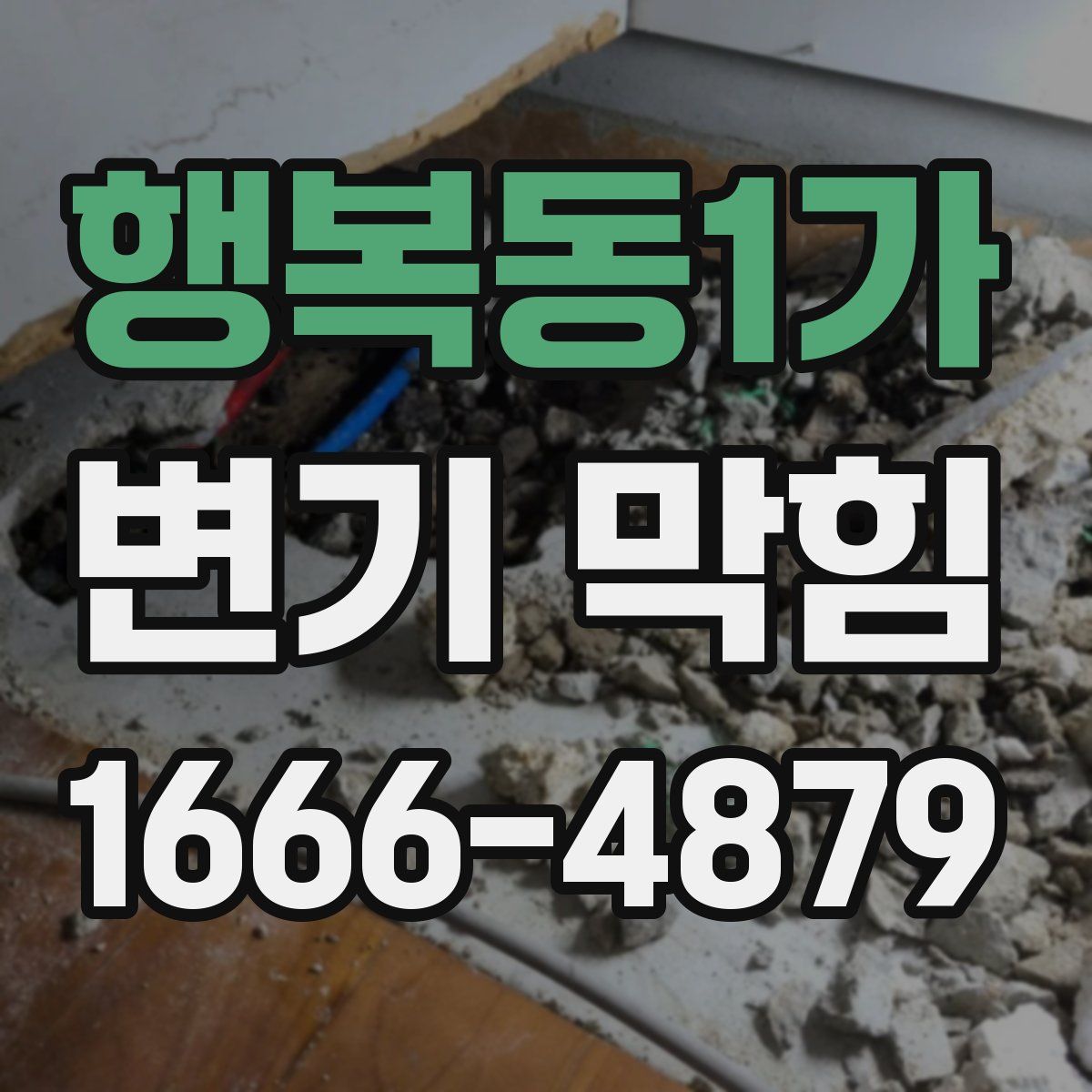 행복동1가 변기 막힘