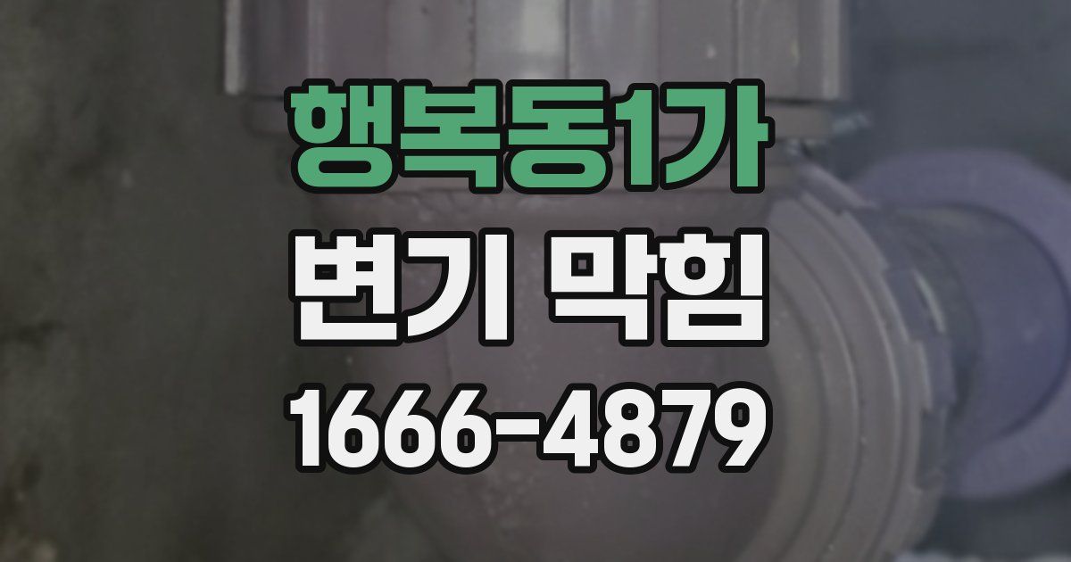 행복동1가 변기 막힘