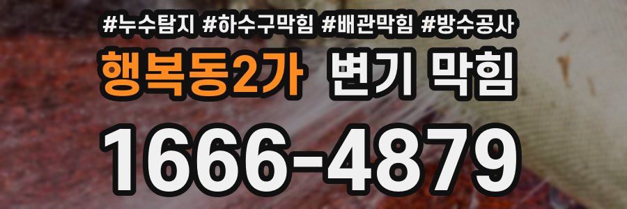 행복동2가 변기 막힘