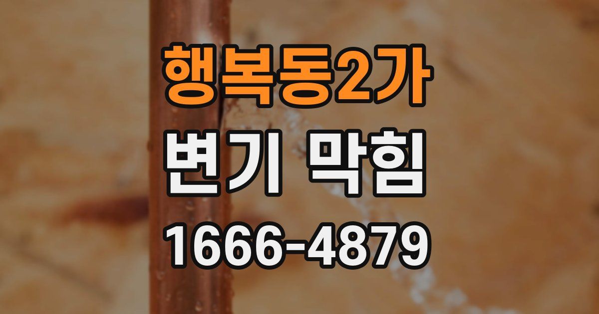 행복동2가 변기 막힘
