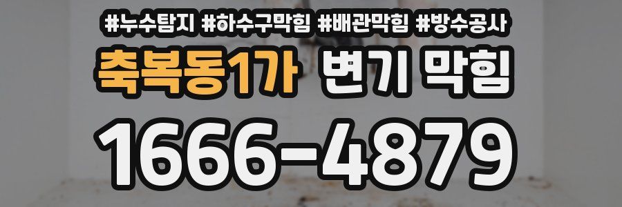 축복동1가 변기 막힘
