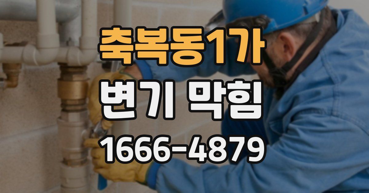 축복동1가 변기 막힘