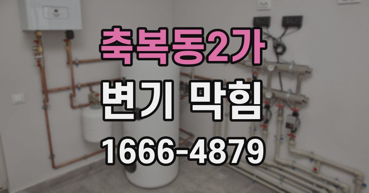 축복동2가 변기 막힘