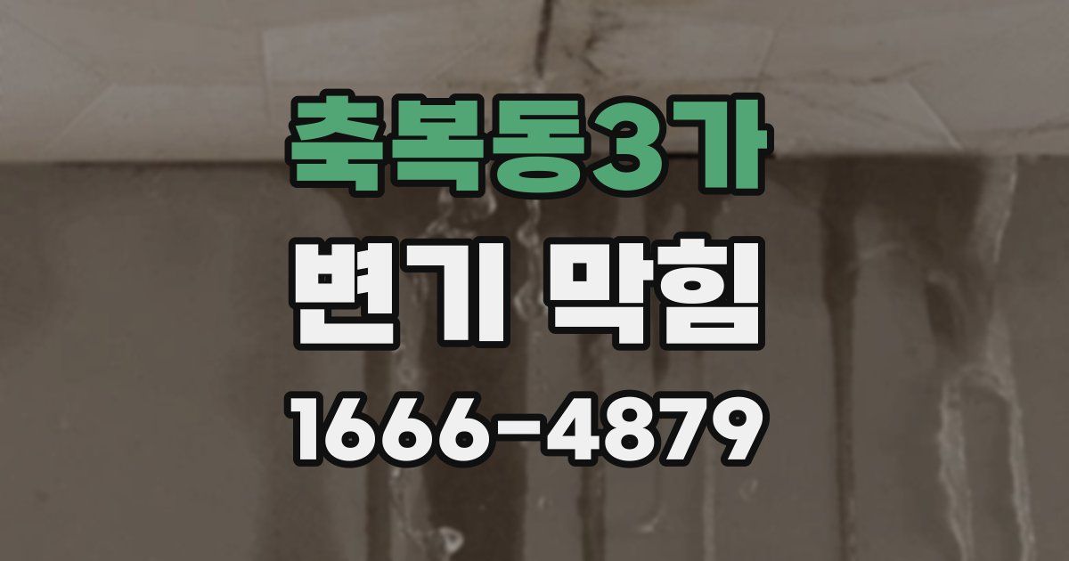축복동3가 변기 막힘