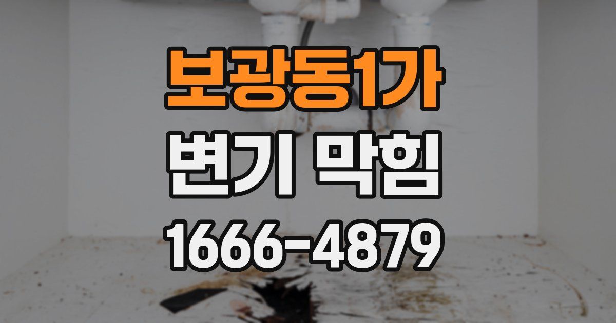 보광동1가 변기 막힘