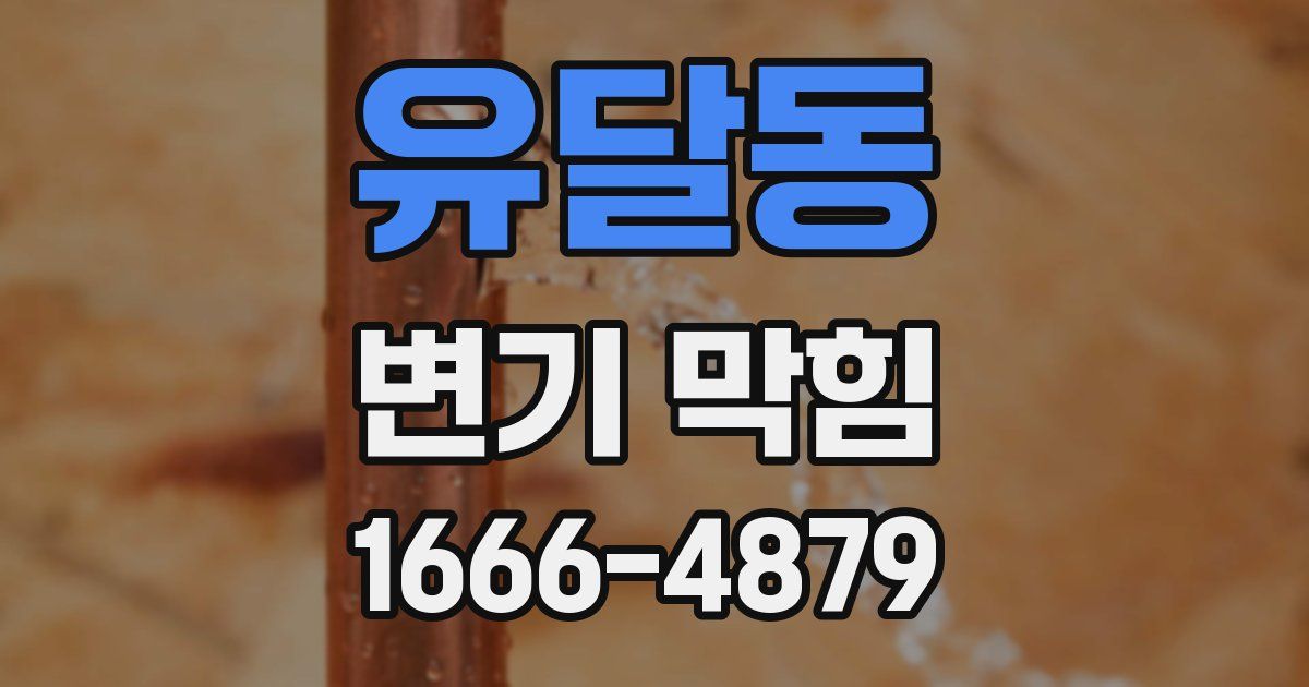 유달동 변기 막힘