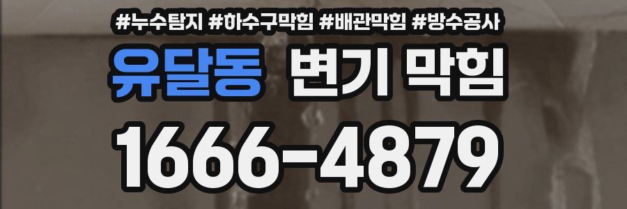 유달동 변기 막힘