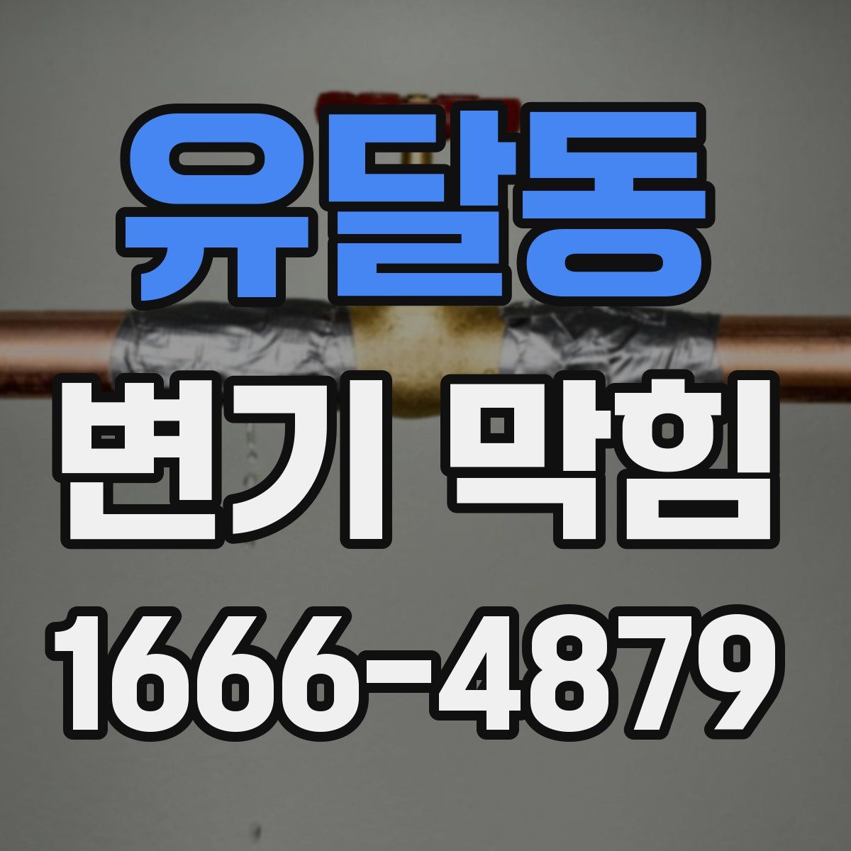 유달동 변기 막힘