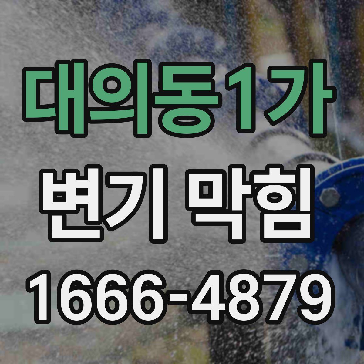 대의동1가 변기 막힘