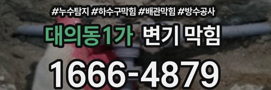 대의동1가 변기 막힘