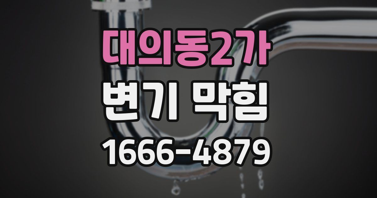 대의동2가 변기 막힘