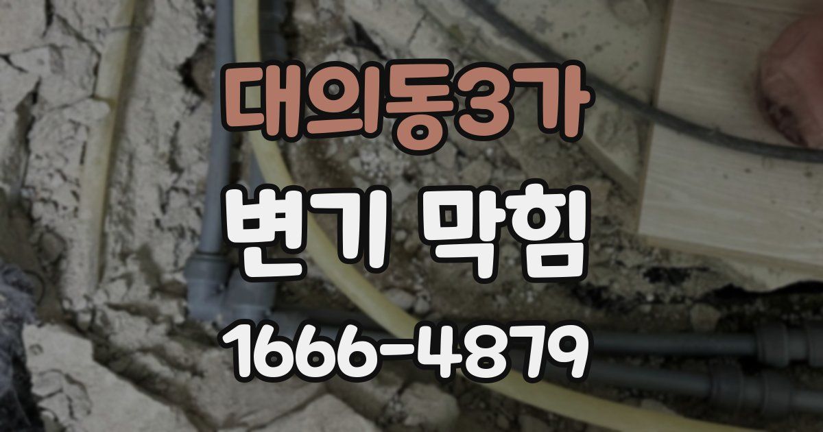 대의동3가 변기 막힘