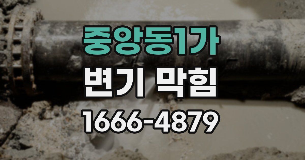 중앙동1가 변기 막힘