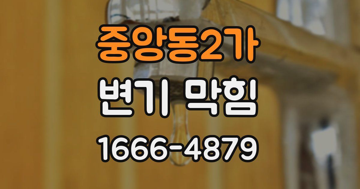 중앙동2가 변기 막힘